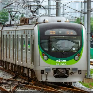 Profile image of 뱀눈이 애벌래