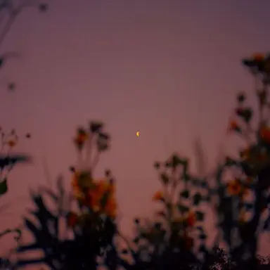 Profile image of 엄태산