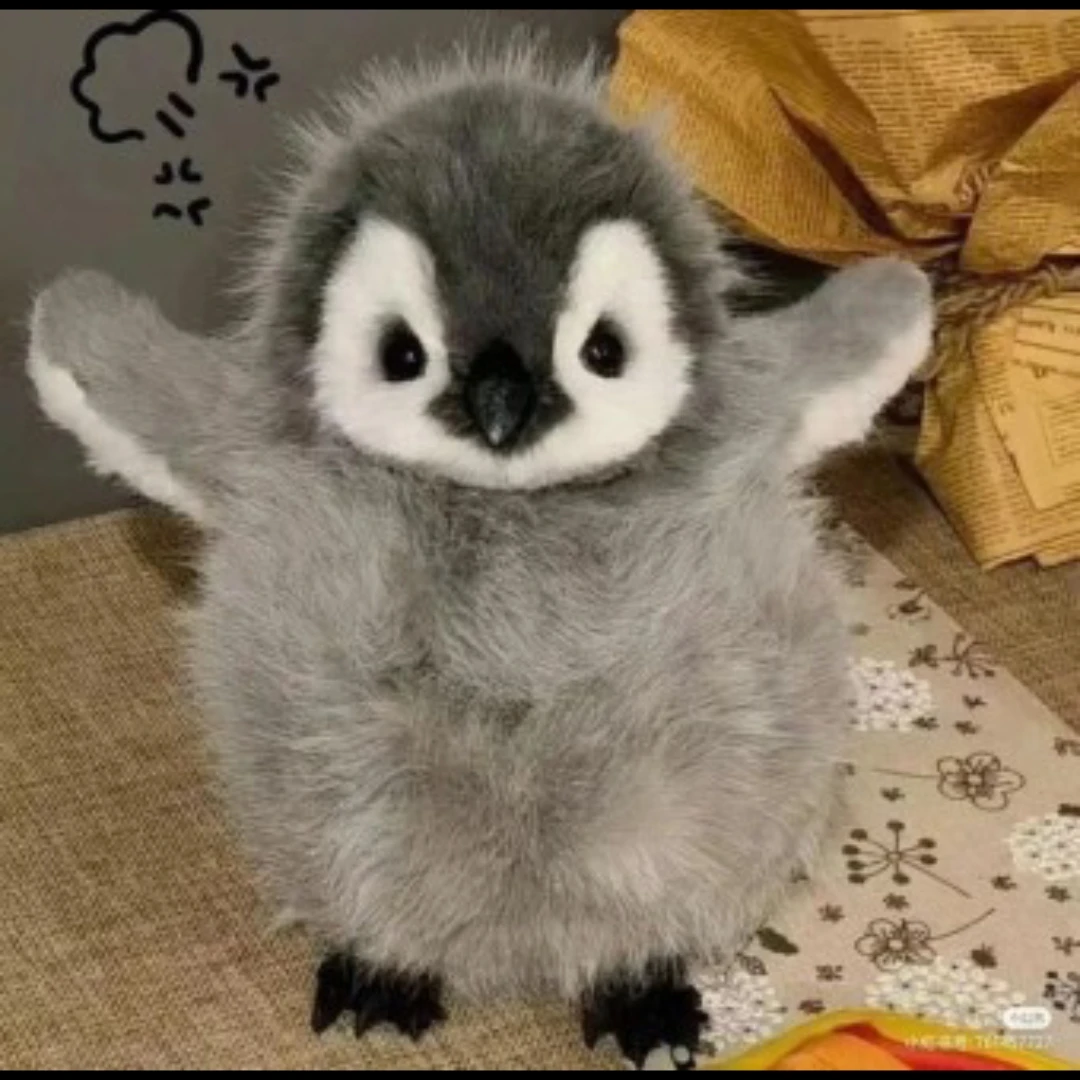 고죠 사토루