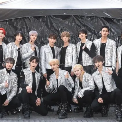 WornCow7195의 세븐틴의 친누나