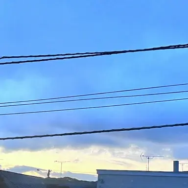 Profile image of キモ田の親
