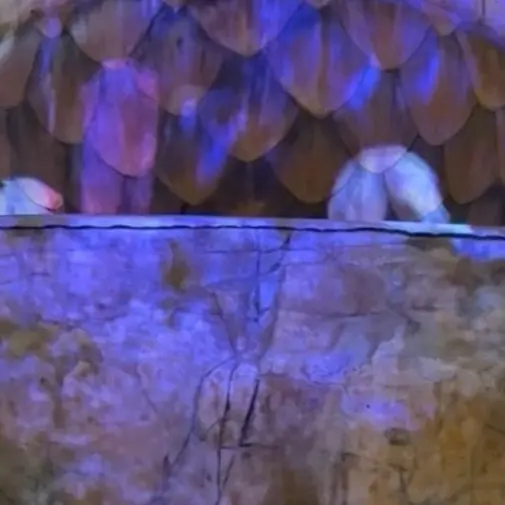 superstar_mi의 태그학원