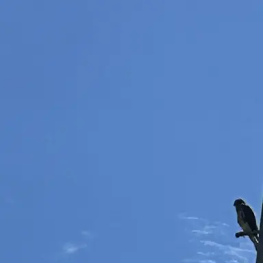 Profile image of 山寺