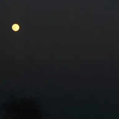 Profile image of あやと