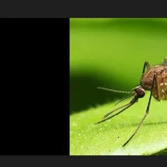 Profile image of 투타임