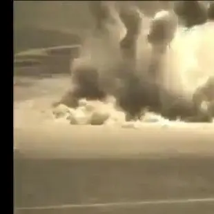 Profile image of 타프