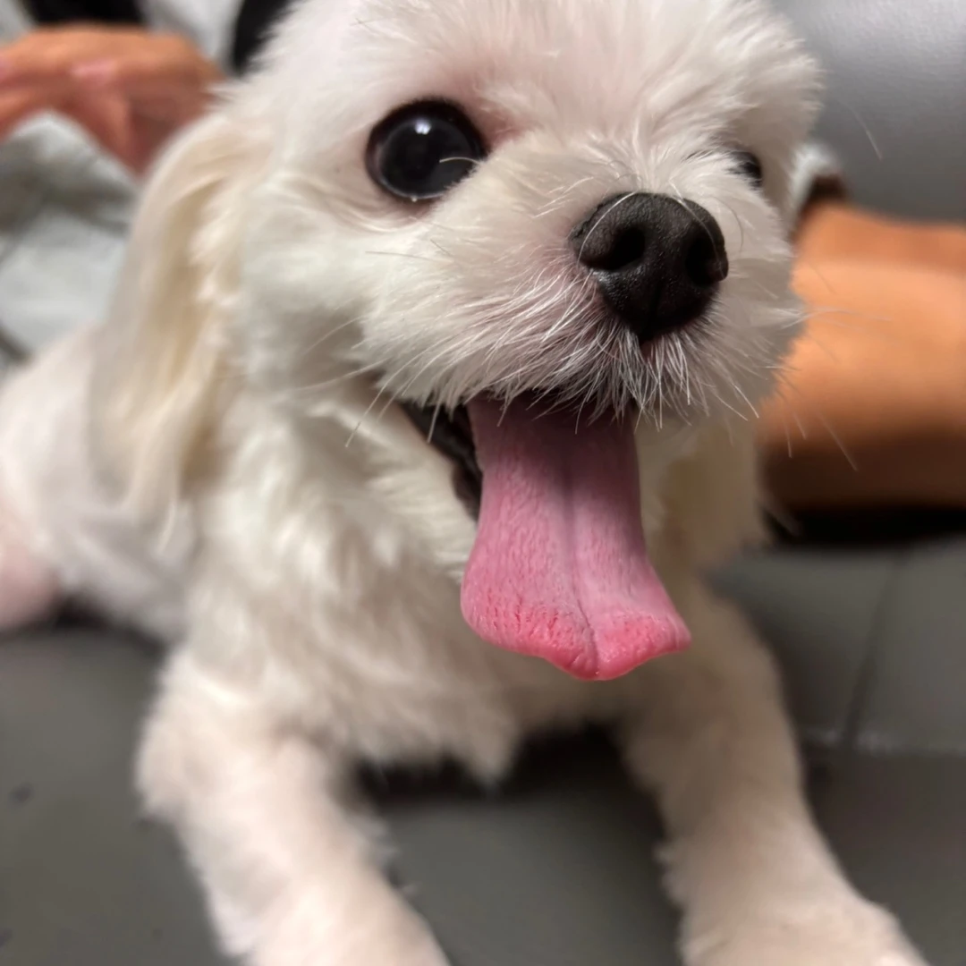 탐험