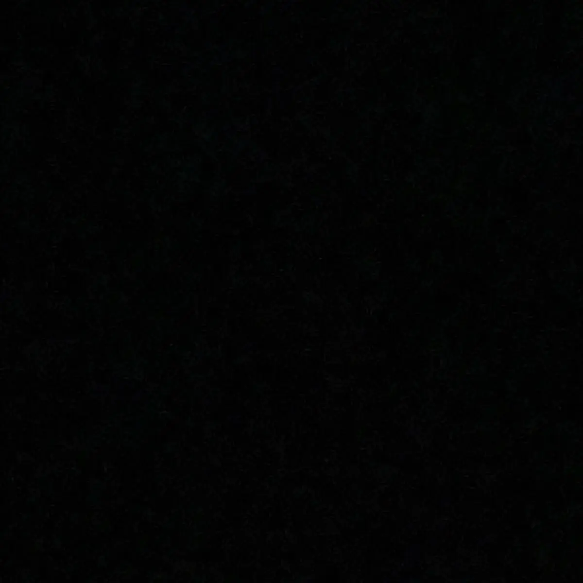 FussyClip2674의 명재햔