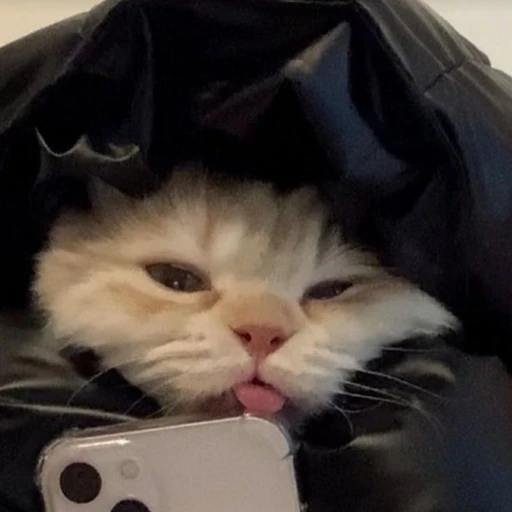 최범규