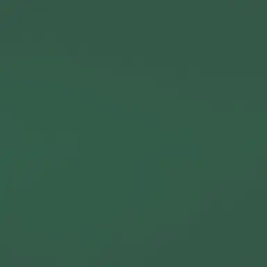 Profile image of 善法寺伊作