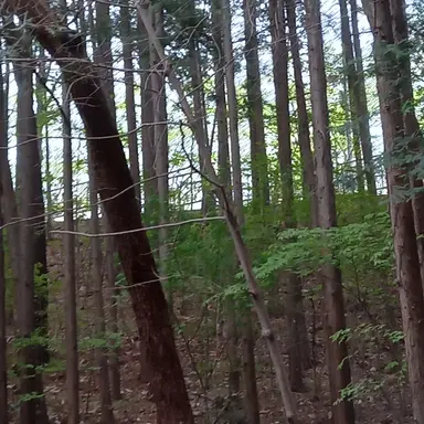 Profile image of 최승현