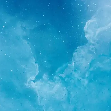 Profile image of 초키