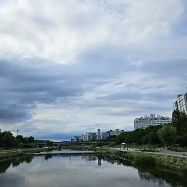 Profile image of 우유참치