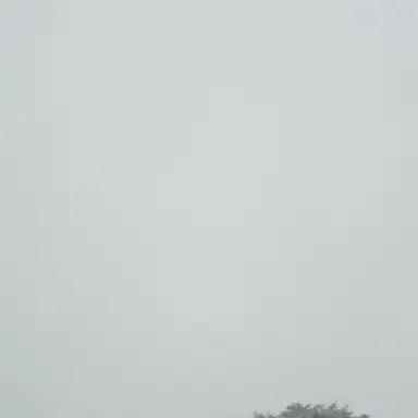 Profile image of 시아