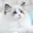 민윤기