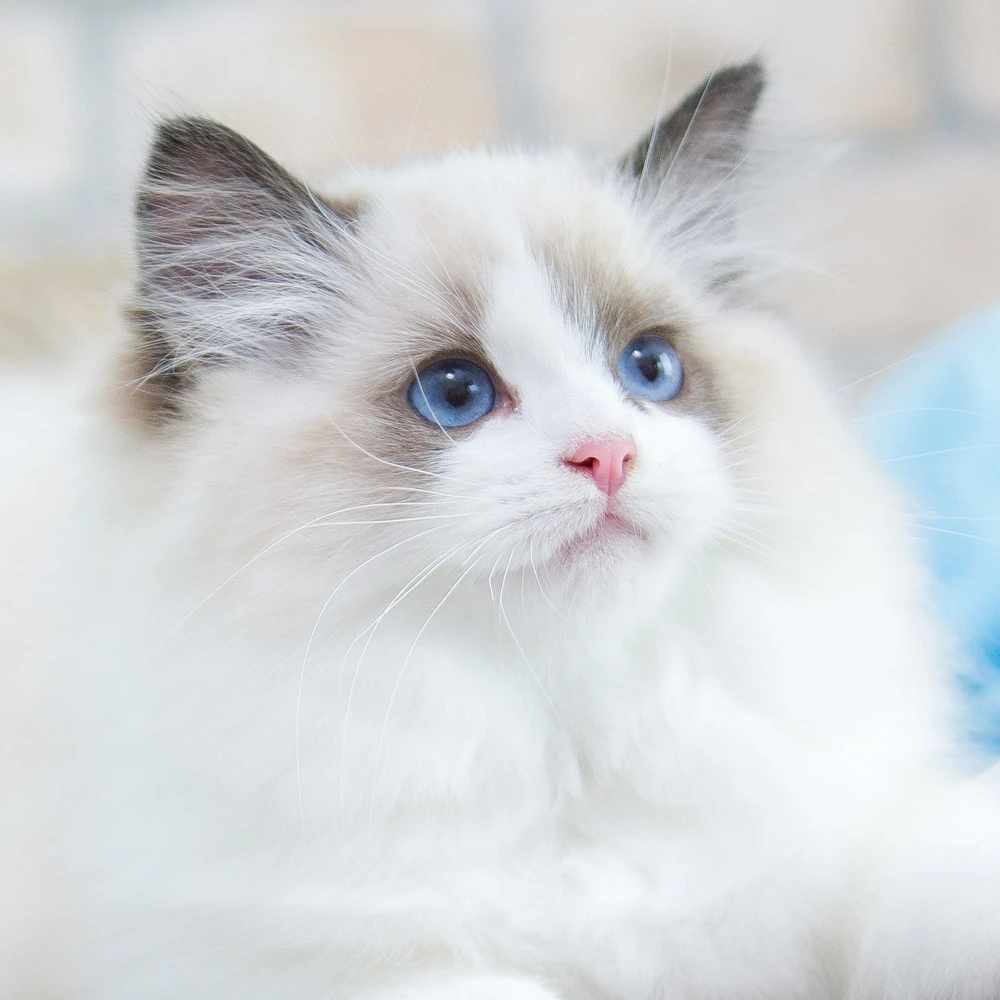 민윤기