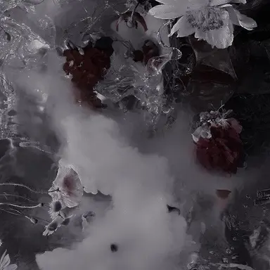 Profile image of スクルダル