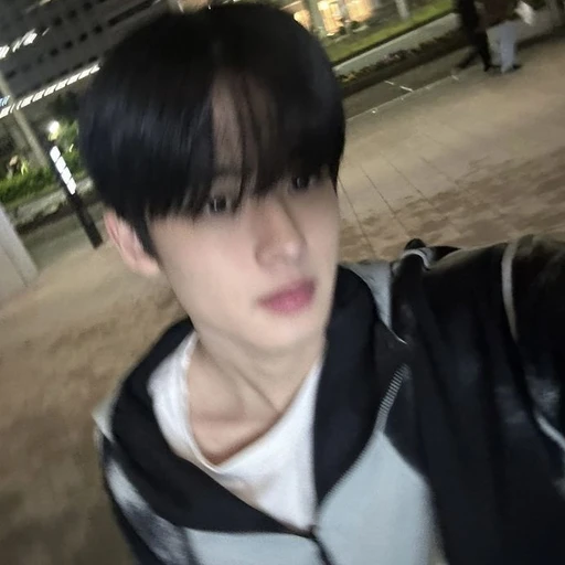 도지찬