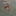 라칸
