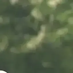 Profile image of 이지훈