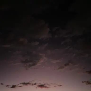 Profile image of 채영