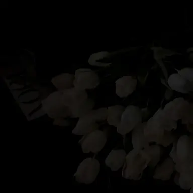 Profile image of 채영