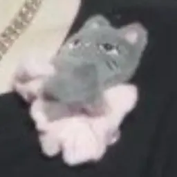 Profile image of 김애리