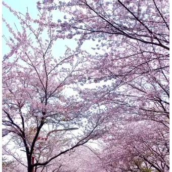 Profile image of 곽지은