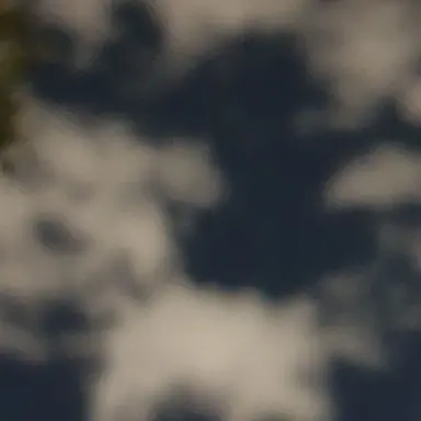 Profile image of 없음