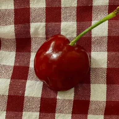 Profile image of 라더