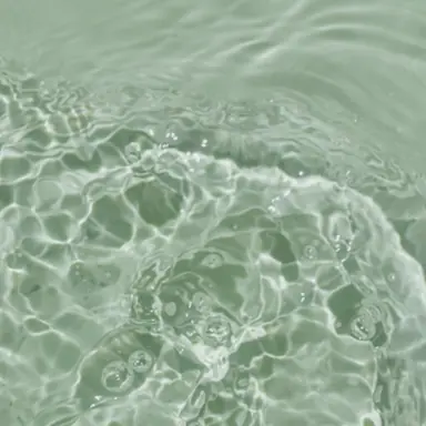 Profile image of 이신