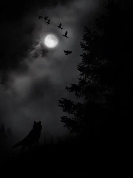 Lovever의 폭풍우 치는 밤에