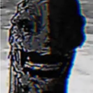 Profile image of 고질라 바이오하자드