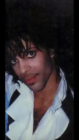 Profile image of Prince Rogers Nelson