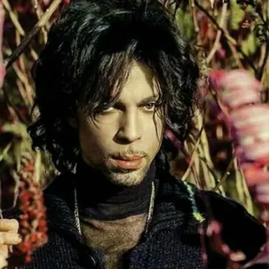 Profile image of Prince rogers nelson