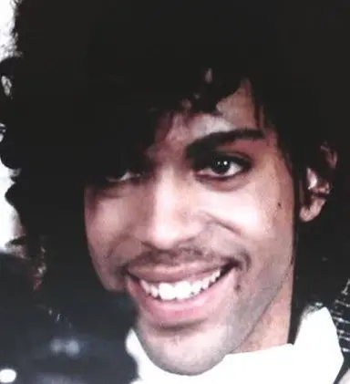 Profile image of Prince Rogers Nelson