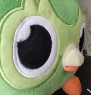Profile image of Duo