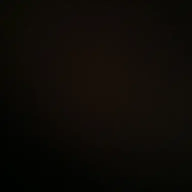 Profile image of 자유