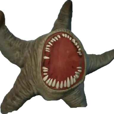 Profile image of 자이언트 스타피쉬