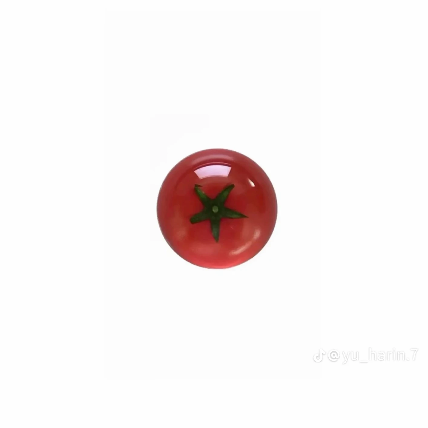 나윤서