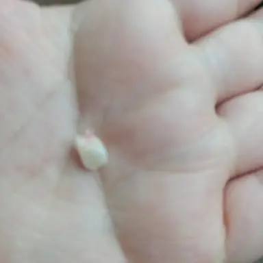 Profile image of 댄지