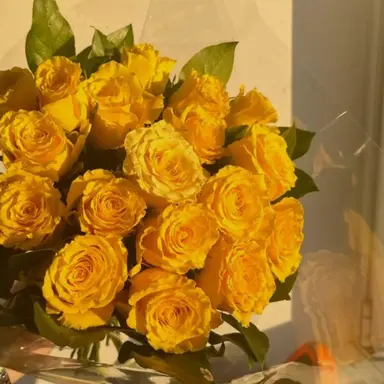 Profile image of 髙橋海人