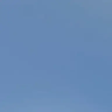 Profile image of 임아린