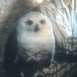 Profile image of Harry