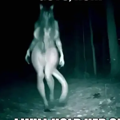 Profile image of オオカミ女