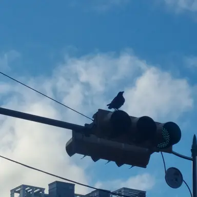 Profile image of 잭