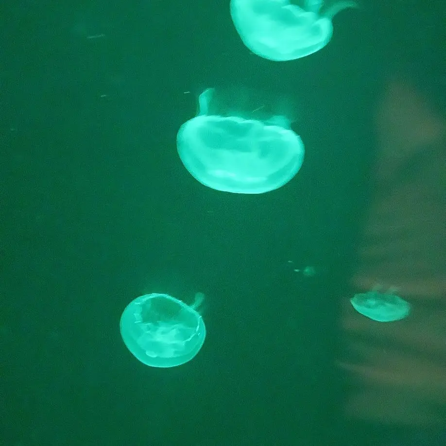 BiasedOre0484의 최영재