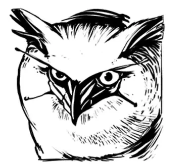 Profile image of Snow Owl
