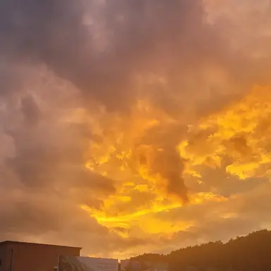 Profile image of 네루