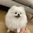 빈아